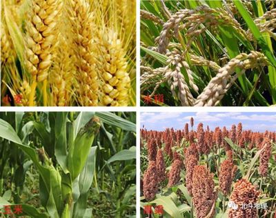 高中地理基本概念 (第三十二期)