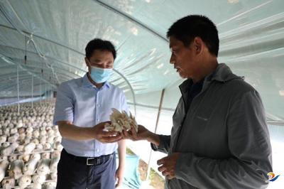 张建慧:因地制宜发展特色产业 持续带动群众增收致富