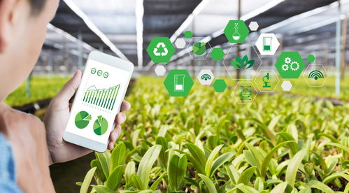 ifss食品安全保障体系 全产业链监管,规范生产经营