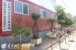 惠民苗木特色村探索苗木业发展新途径 小小盆景种出致富路