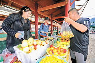 西藏林业经济蓬勃发展，农业与多种经营协同增效