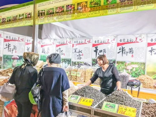 南博会今日开幕，昭阳企业喜迎开门红，附农作物与经济作物展区逛展攻略