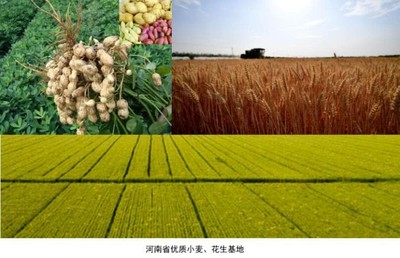 不在河南也能尽一份力 普通人可以参与的暴雨救助方式总览