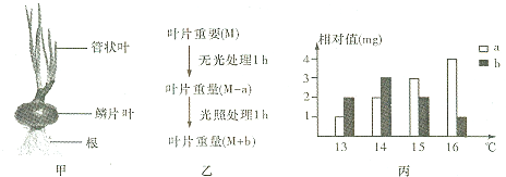突破天然虾青素生产瓶颈 番茄成为高效生物工厂