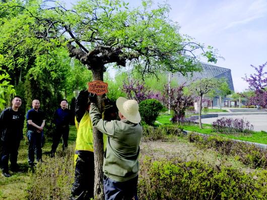 白银市矿山公园 绿树成荫花木繁，挂牌科普促生态
