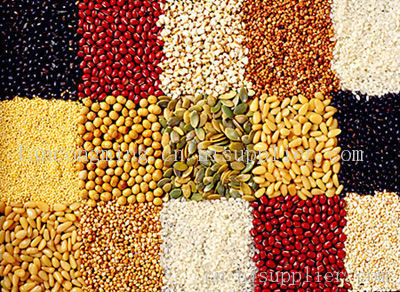 花木种植 从传统经济作物到绿色产业的华丽转身