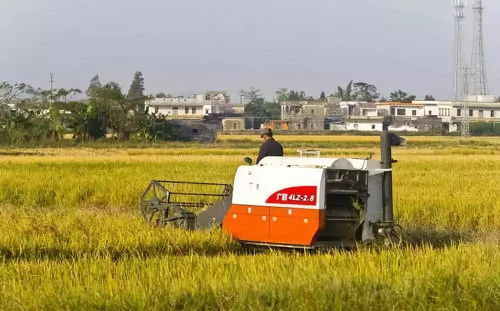 湖北农业新政策 农户与合作社粮食制种可领财政补贴