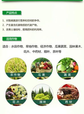 生物放线菌在农业种植中的应用 从发酵肥料配置到有机肥销售的全产业链探索