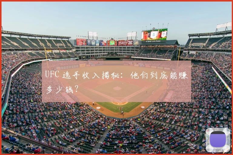 UFC 选手收入揭秘：他们到底能赚多少钱？