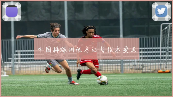 中国排球训练方法与技术要点