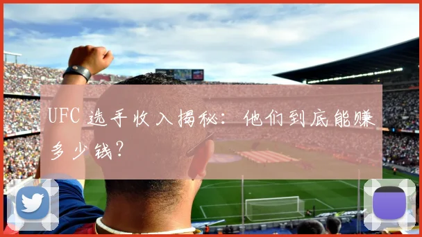 UFC 选手收入揭秘:他们到底能赚多少钱?