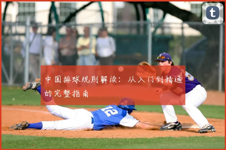 中国排球规则解读：从入门到精通的完整指南