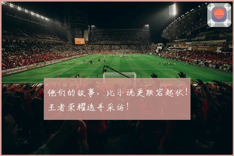 他们的故事,比小说更跌宕起伏!王者荣耀选手采访!