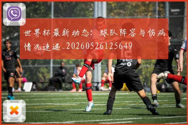 世界杯最新动态：球队阵容与伤病情况速递_20260526125649