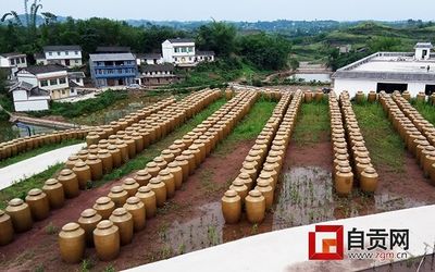 市委书记高度关注后,自贡这里发生了翻天覆地的变化