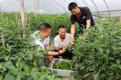 推进精细农业高质量发展