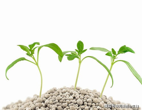 矿源黄腐酸钾 高效使用、核心作用与优质产品选购指南